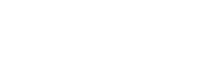 Vaisys Inc.